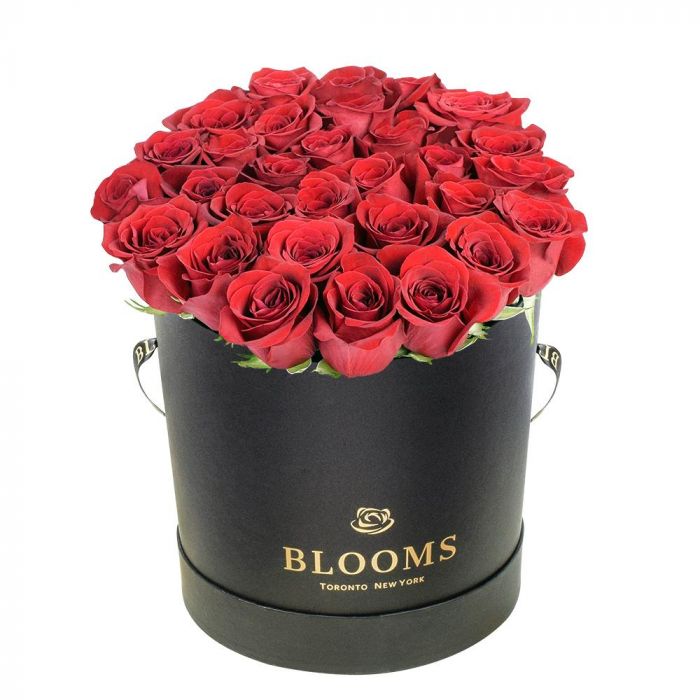 Red Vibrancy Box Rose Set