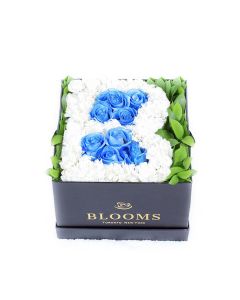 Welcome Baby Boy Flower Box