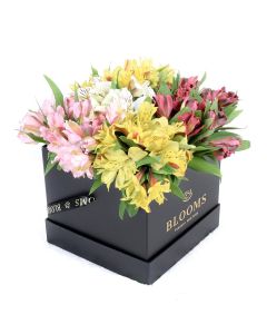 Spring Bloom Peruvian Lily Hat Box
